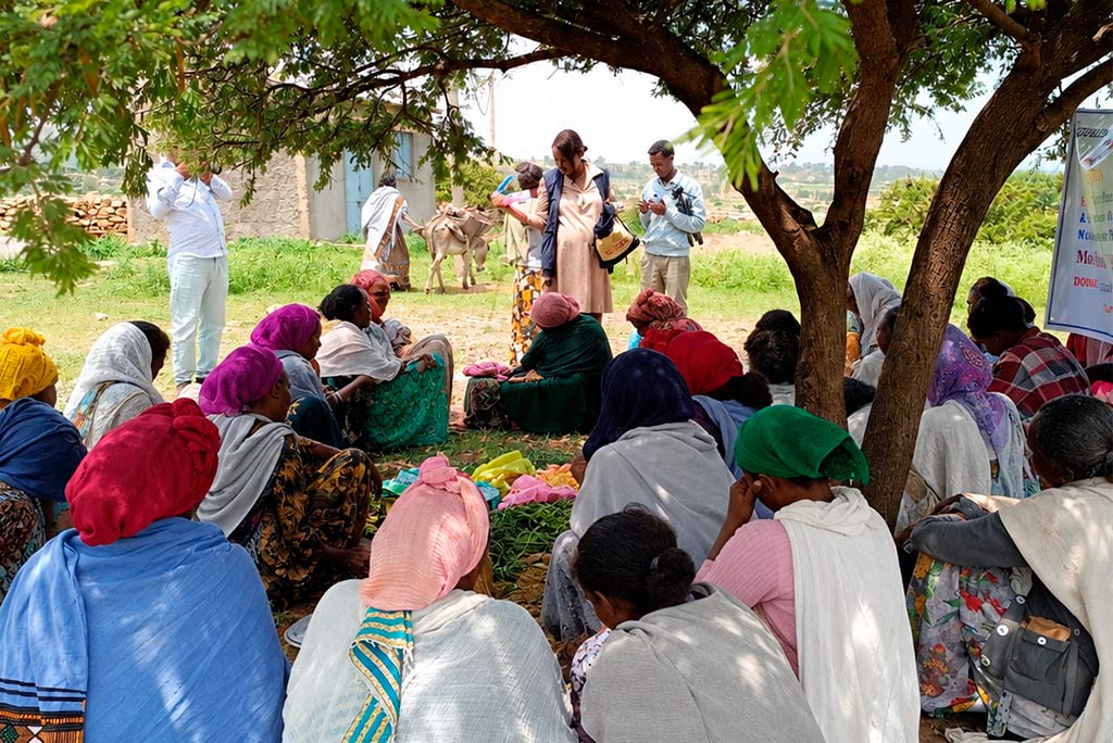 Proyecto HAFTEY, Tigray